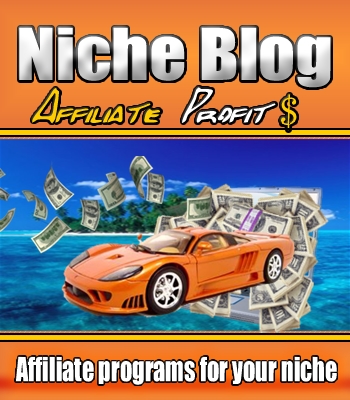 Niche Blog Affiliate Profits